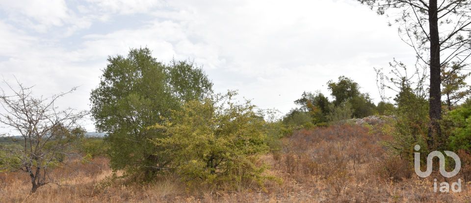 Terrain à Areias e Pias de 1 600 m²