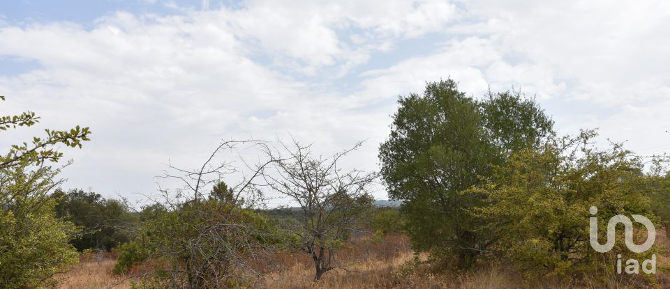 Terrain à Areias e Pias de 1 600 m²