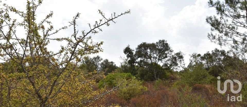 Terrain à Areias e Pias de 1 600 m²