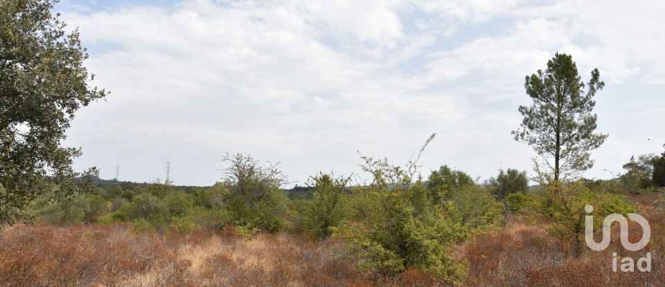 Terrain à Areias e Pias de 1 600 m²