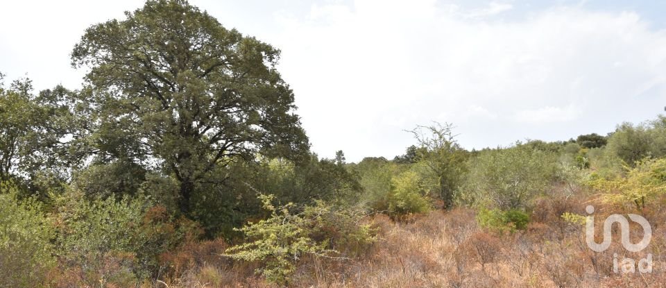 Terrain à Areias e Pias de 1 600 m²