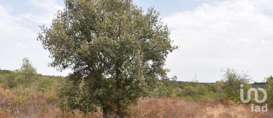 Terrain à Areias e Pias de 1 600 m²