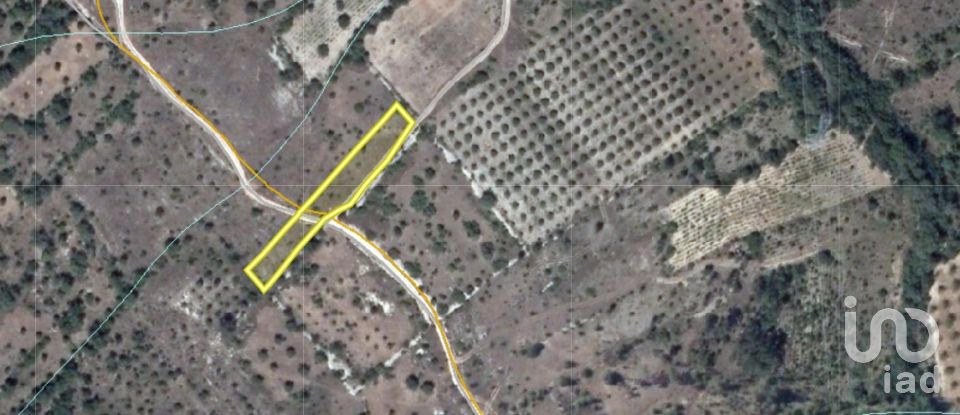 Terrain à Areias e Pias de 1 600 m²