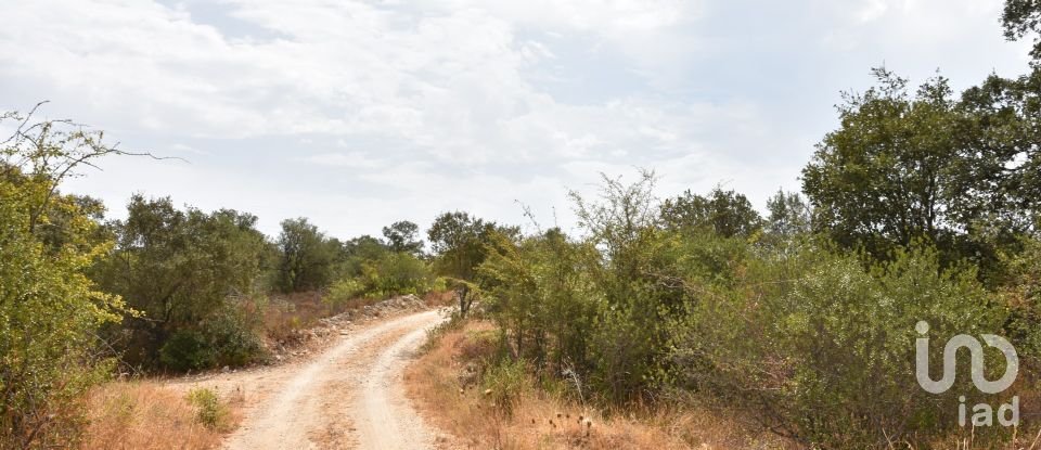 Terrain à Areias e Pias de 1 600 m²