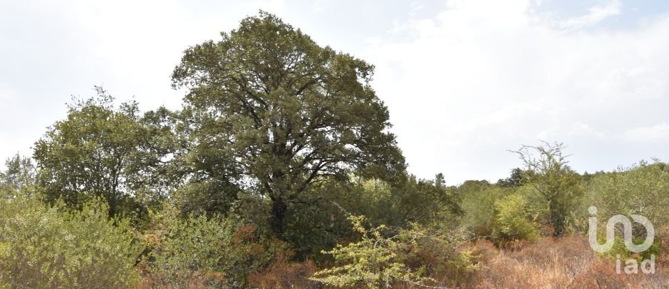 Terrain à Areias e Pias de 1 600 m²