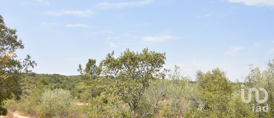 Terrain à Areias e Pias de 1 600 m²