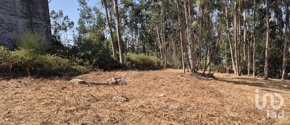 Land in Pedroso e Seixezelo of 462 m²