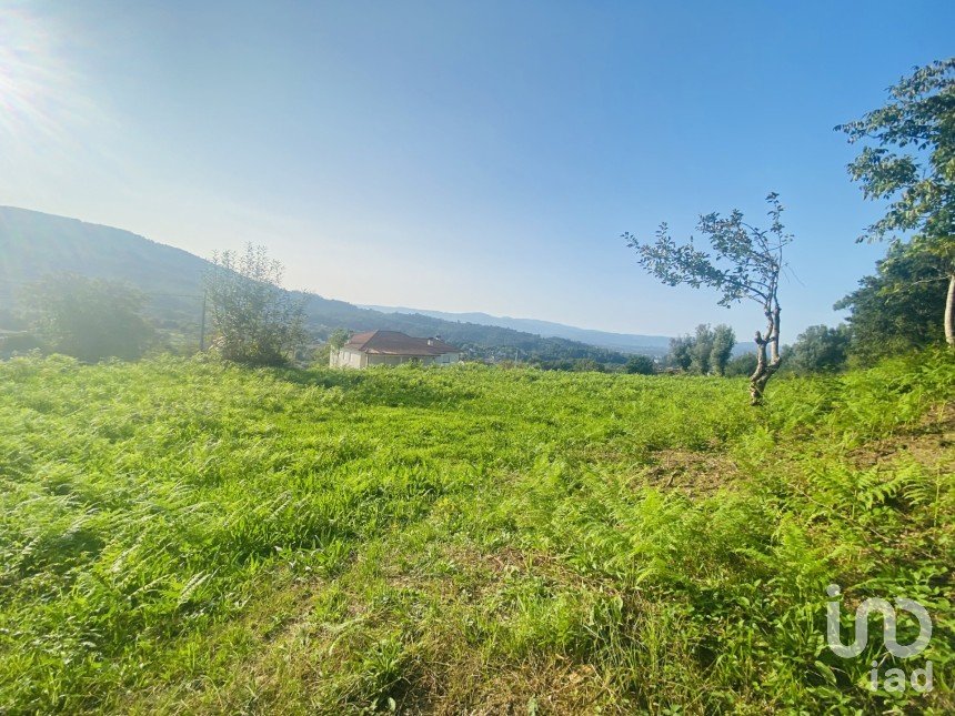 Terrain agricole à Cornes de 9 520 m²