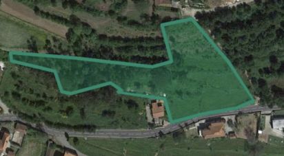 Farm land in Cornes of 9,520 m²