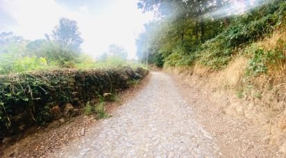 Farm land in Cornes of 9,520 m²