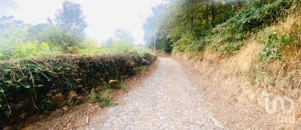 Terrain agricole à Cornes de 9 520 m²