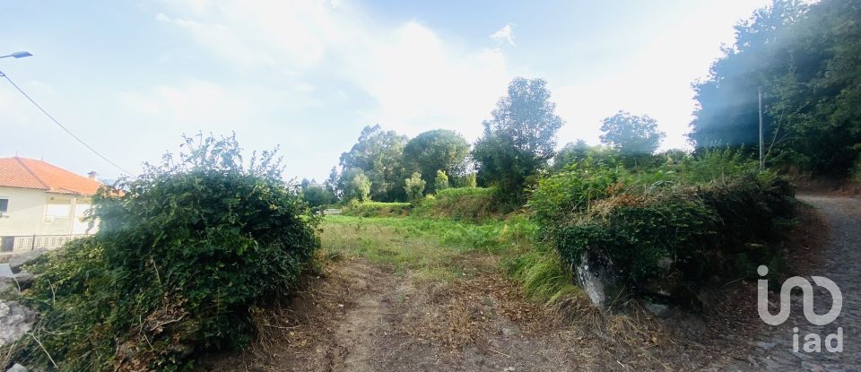 Terrain agricole à Cornes de 9 520 m²