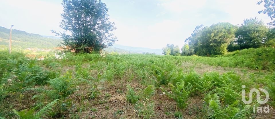 Terrain agricole à Cornes de 9 520 m²