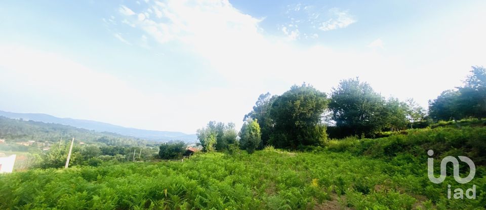 Terrain agricole à Cornes de 9 520 m²