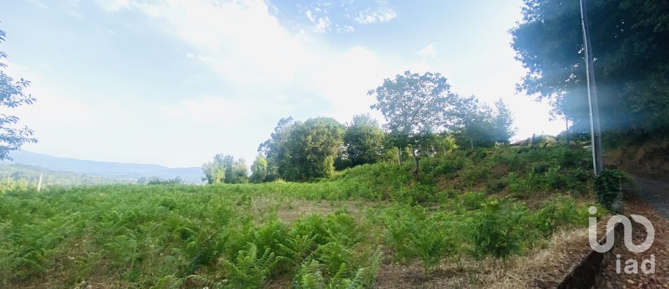 Terrain agricole à Cornes de 9 520 m²