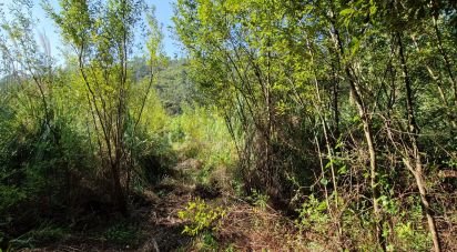 Terrain à Carvoeira de 2 187 m²