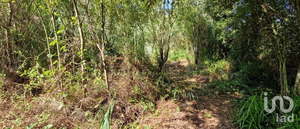 Terreno em Carvoeira de 2 187 m²