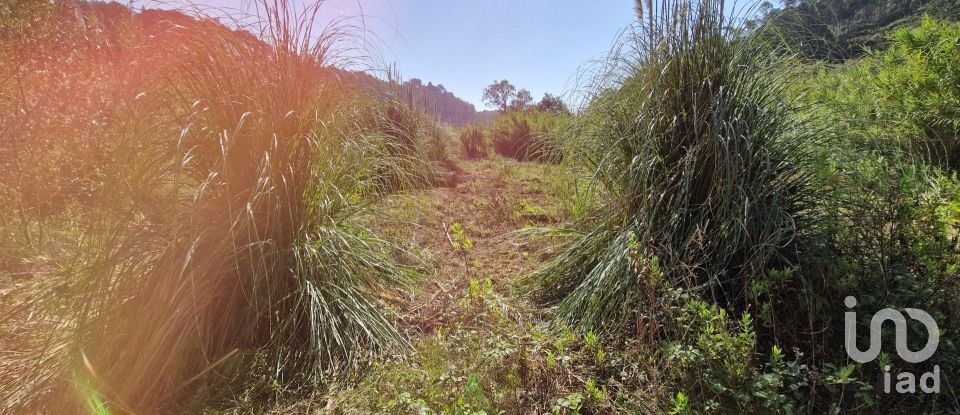 Terreno em Carvoeira de 2 187 m²