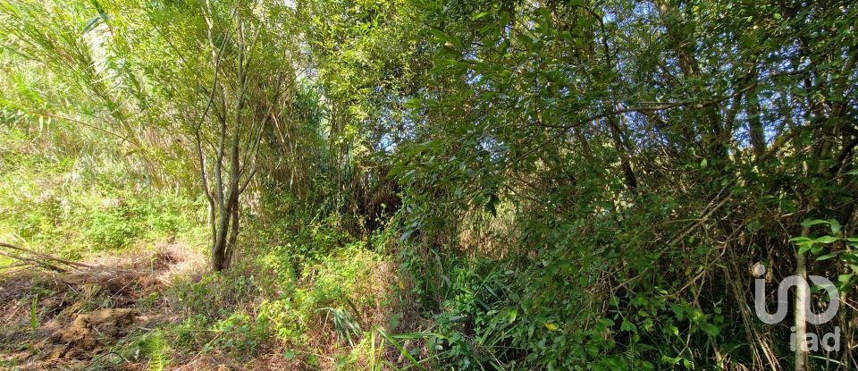 Terreno em Carvoeira de 2 187 m²