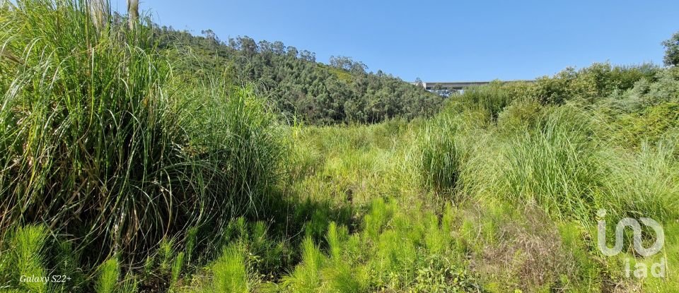 Terreno em Carvoeira de 2 187 m²
