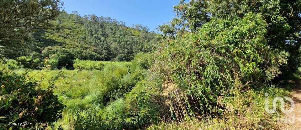 Terreno em Carvoeira de 2 187 m²