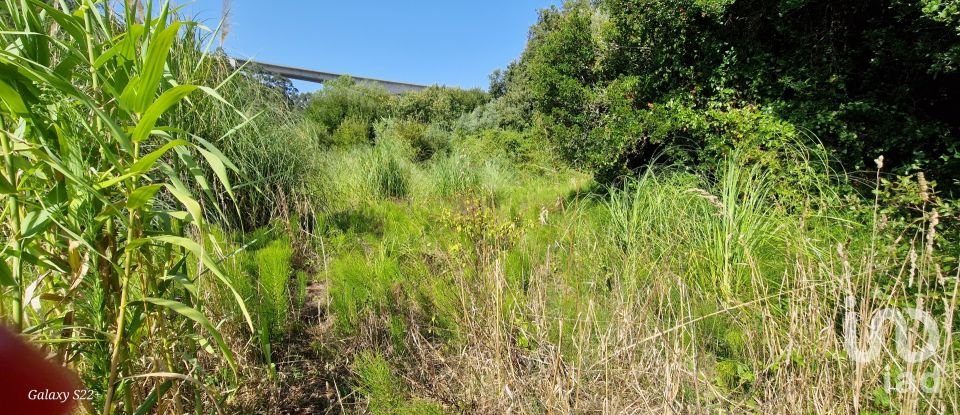 Terreno em Carvoeira de 2 187 m²