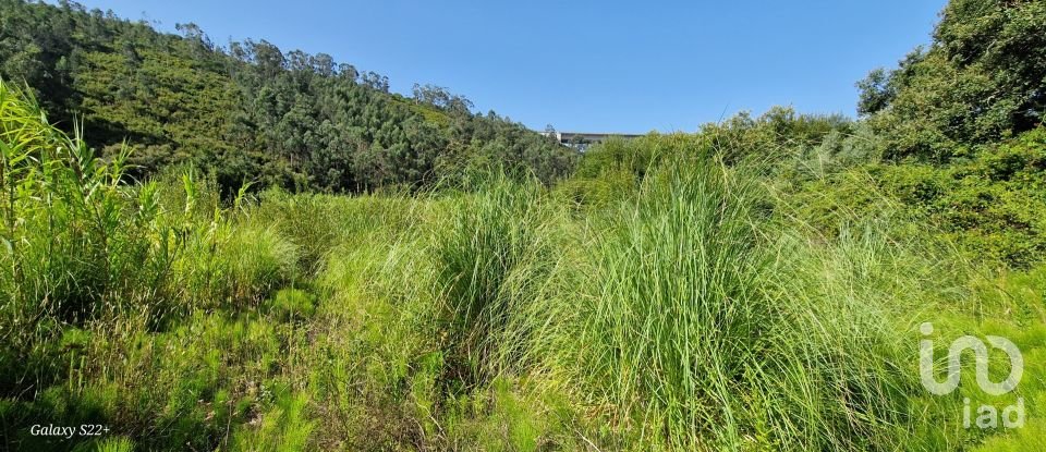 Terreno em Carvoeira de 2 187 m²