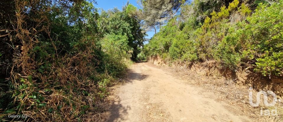 Terreno em Carvoeira de 2 187 m²