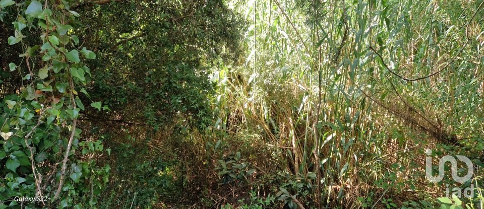 Terreno em Carvoeira de 2 187 m²