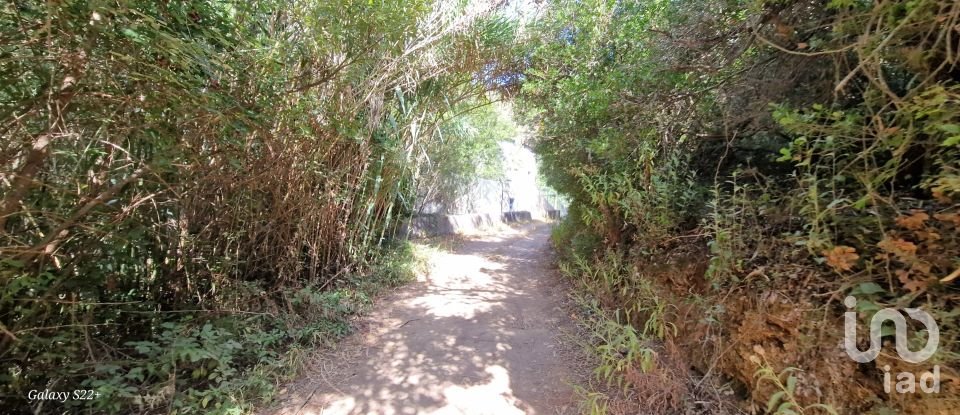 Terreno em Carvoeira de 2 187 m²