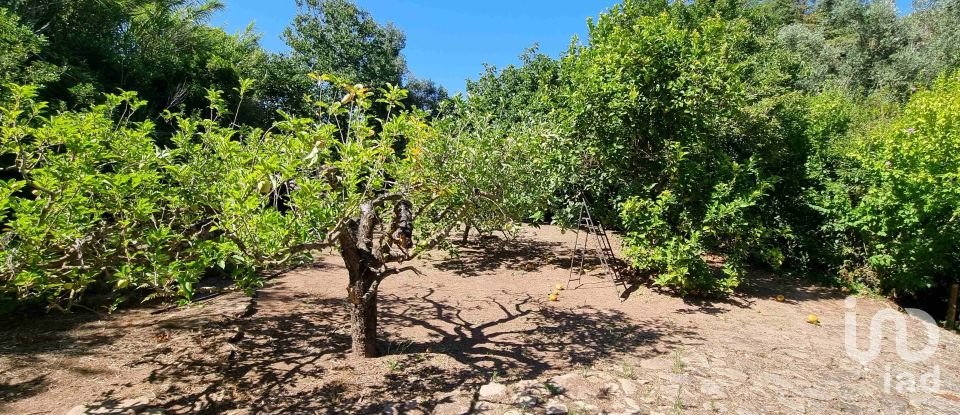 Moradia T4 em Turcifal de 465 m²