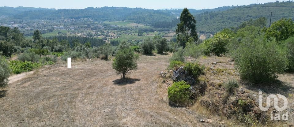 Terreno urbano em Podentes de 1 937 m²