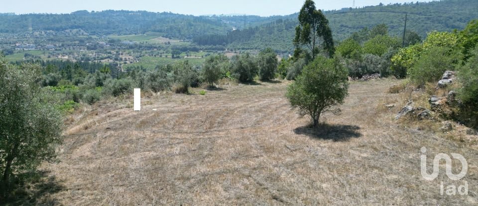 Terreno urbano em Podentes de 1 937 m²