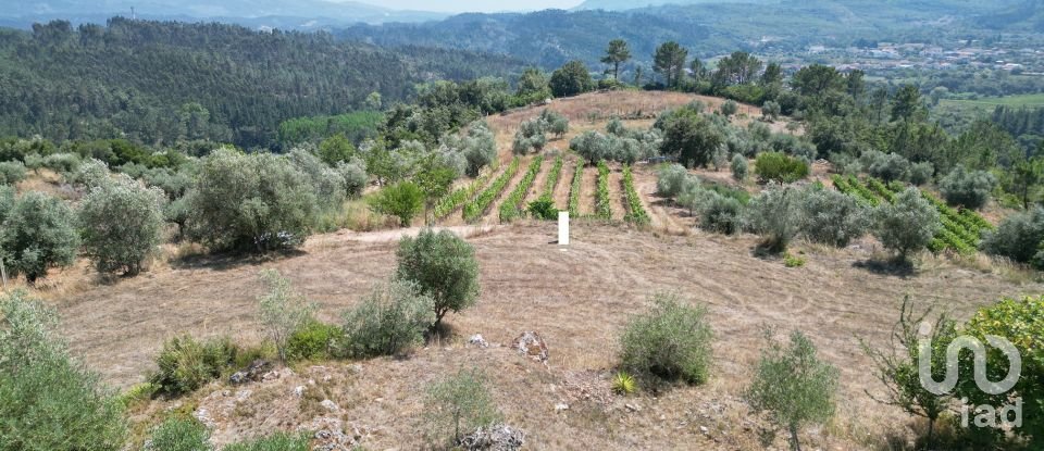 Terreno urbano em Podentes de 1 937 m²
