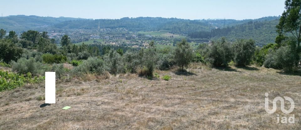 Terreno urbano em Podentes de 1 937 m²