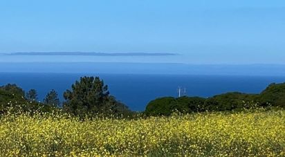 Terrain à Sesimbra (Castelo) de 10 400 m²