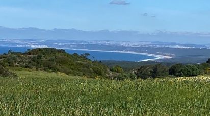 Terrain à Sesimbra (Castelo) de 10 400 m²