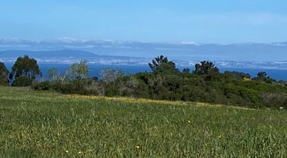 Terrain à Sesimbra (Castelo) de 10 400 m²
