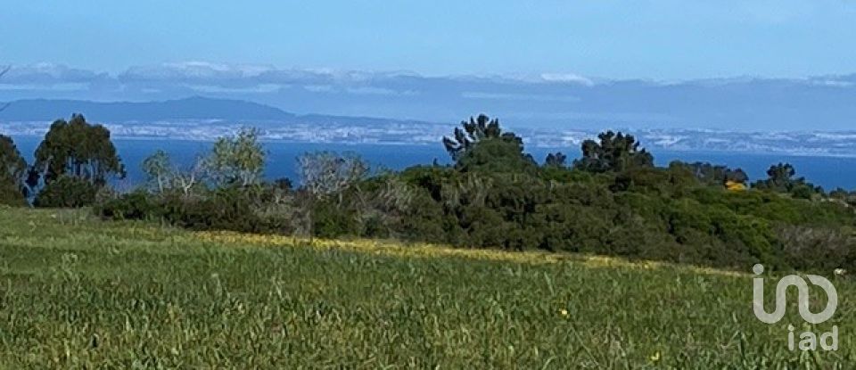 Terreno em Sesimbra (Castelo) de 10 400 m²