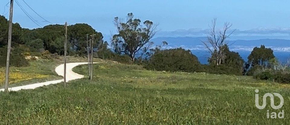 Terreno em Sesimbra (Castelo) de 10 400 m²