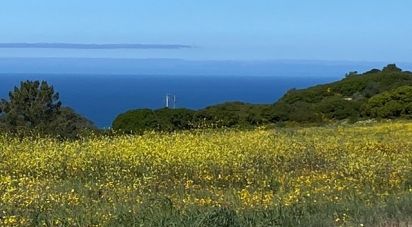 Terrain à Sesimbra (Castelo) de 10 400 m²
