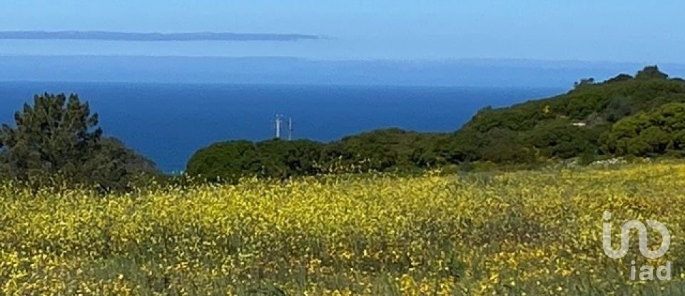 Terreno em Sesimbra (Castelo) de 10 400 m²