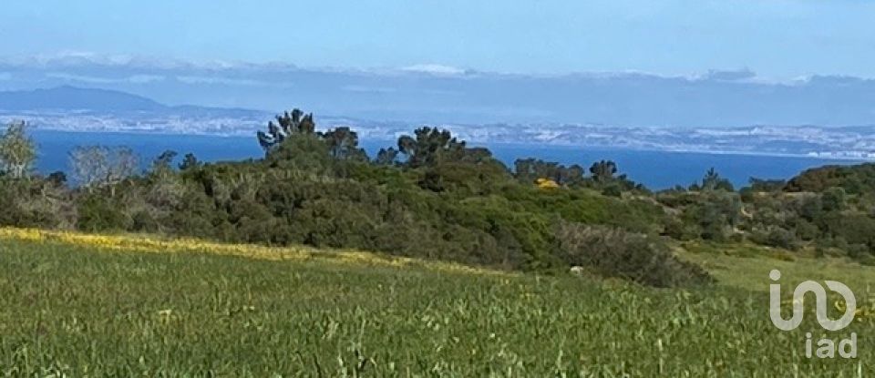 Terreno em Sesimbra (Castelo) de 10 400 m²