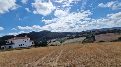 Terrain à Enxara do Bispo, Gradil e Vila Franca do Rosário de 31 600 m²