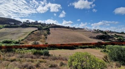 Terrain à Enxara do Bispo, Gradil e Vila Franca do Rosário de 31 600 m²