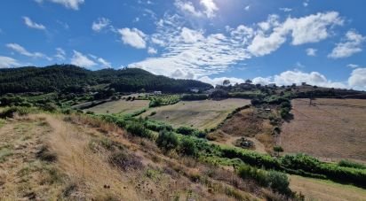 Terrain à Enxara do Bispo, Gradil e Vila Franca do Rosário de 31 600 m²