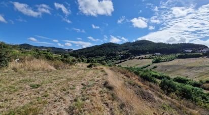 Terrain à Enxara do Bispo, Gradil e Vila Franca do Rosário de 31 600 m²