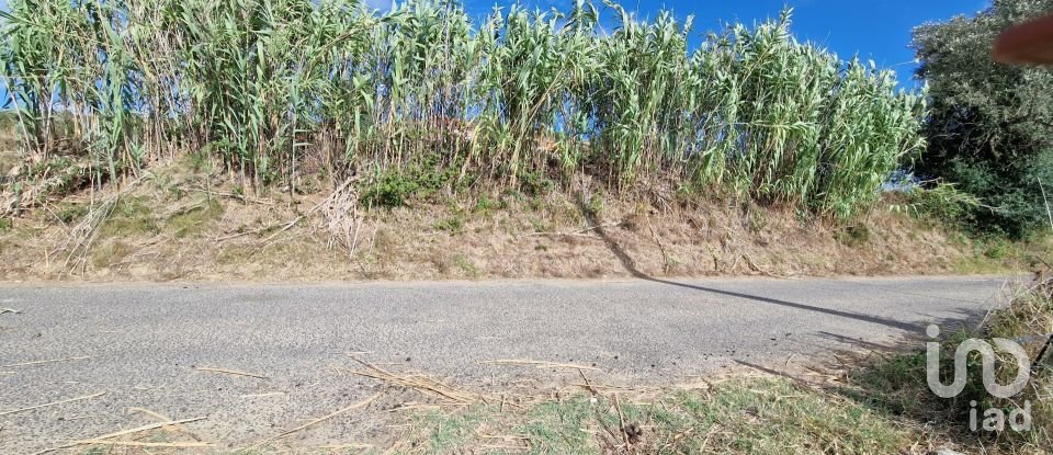 Land in Enxara do Bispo, Gradil e Vila Franca do Rosário of 31,600 m²