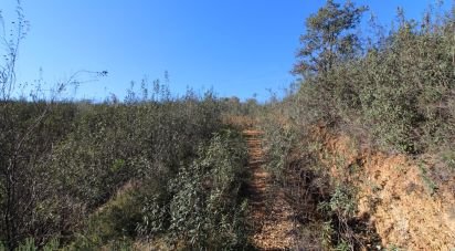 Maison rustique T2 à São Bartolomeu de Messines de 80 m²