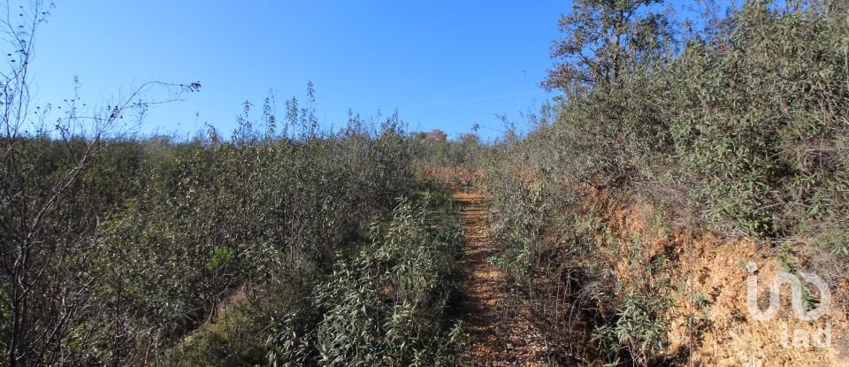 Maison rustique T2 à São Bartolomeu de Messines de 80 m²